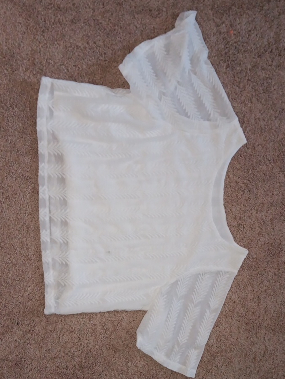Sheer White Textured Short Sleeve Top